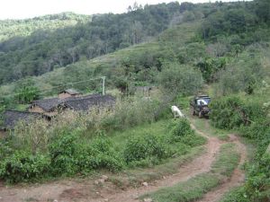 周家自然村 周家自然村