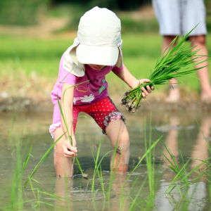 天地人禾消費合作社 天地人禾消費合作社