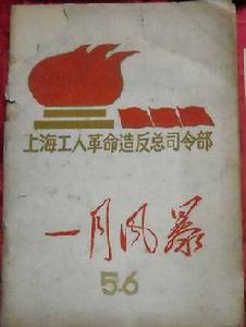 一月風暴 一月風暴