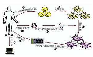 基因誘導特異性抗病毒免疫綜合療法