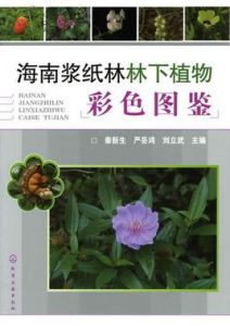 海南漿紙林林下植物彩色圖鑑 海南漿紙林林下植物彩色圖鑑