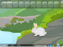 迷路的小兔 迷路的小兔