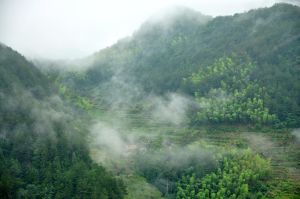 天坑自然村 天坑自然村