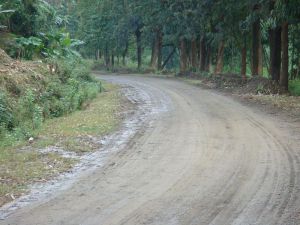 大南溫自然村 大南溫自然村