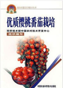 優質櫻桃番茄栽培 優質櫻桃番茄栽培