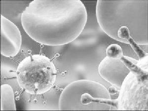 抗碳青黴烯類腸桿菌