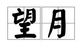 望月[漢語詞語]