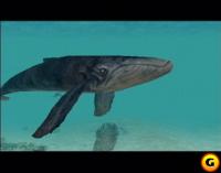 《海豚大冒險》