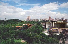 三江鎮[貴州省遵義市道真仡佬族苗族自治縣三江鎮]