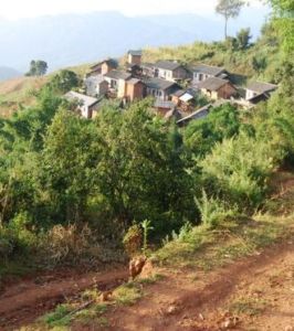 三棵樹自然村 三棵樹自然村