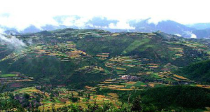 蓮花山自然保護區