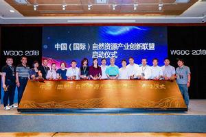 中國(國際)自然資源產業創新聯盟 中國(國際)自然資源產業創新聯盟