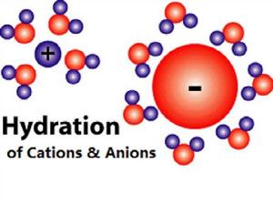 離子水合作用 離子水合作用