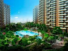 君匯新天 君匯新天