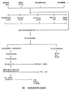 老年人急性感染後腎炎