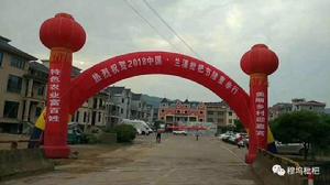 2018年蘭溪枇杷節現場