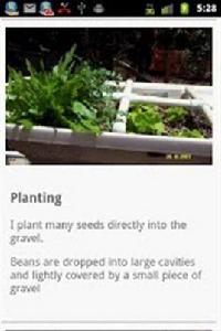 複合養殖 複合養殖