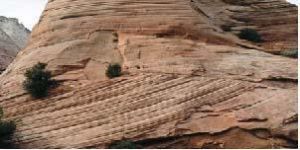 沉積一構造縫 沉積一構造縫