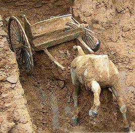 蘭家坡銅車馬 蘭家坡銅車馬