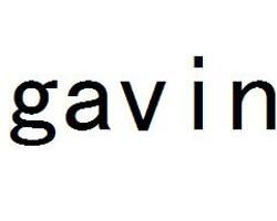 gavin gavin