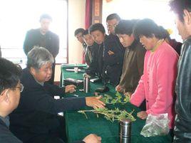 大曲堤鎮 大曲堤鎮