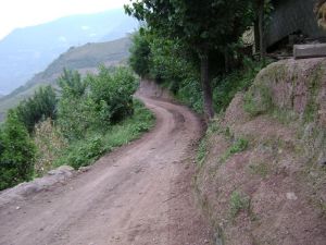 大栗樹村 大栗樹村