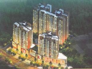 南華聖景 南華聖景