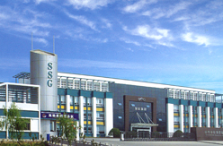 雙輪集團 雙輪集團