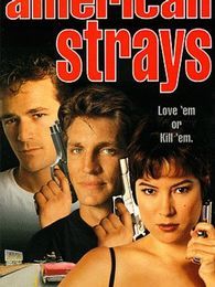 迷途美國 迷途美國