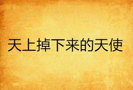 天上掉下來的天使 天上掉下來的天使