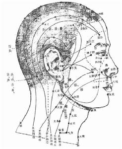 （圖）頭頸部腧穴