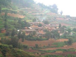 油菜地村 油菜地村