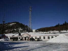 三岔河林場 三岔河林場