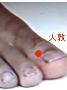 足厥陰肝經 足厥陰肝經