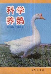 科學養鵝 科學養鵝