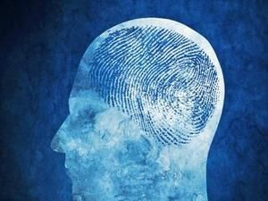 腦指紋 腦指紋