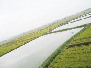 余家圩村 余家圩村