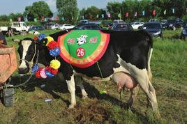 中國山陰邊塞文化周暨奶牛節 中國山陰邊塞文化周暨奶牛節