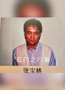 張寶林[電視連續劇《征服》劉華強的原型]