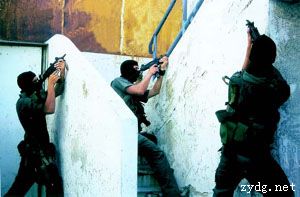 以色列特種作戰部隊