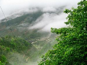 雪峰山林場 雪峰山林場