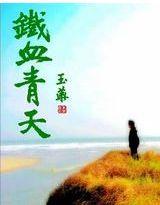 鐵血青天 鐵血青天