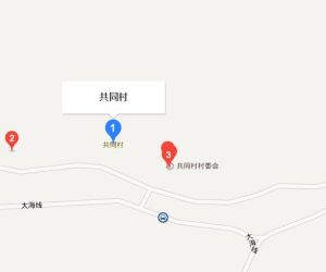 共同村 共同村