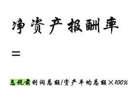 淨資產報酬率 淨資產報酬率