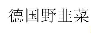 德國野韭菜 德國野韭菜