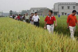 中路鋪鎮 中路鋪鎮