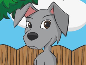 小狗狗的衣服 小狗狗的衣服