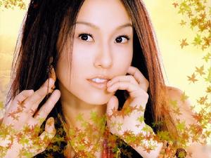 歌曲演唱者 范瑋琪