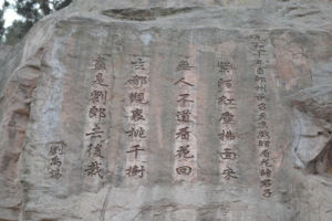 元和十年自朗州至京戲贈看花諸君子 元和十年自朗州至京戲贈看花諸君子