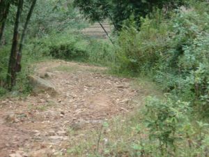 三洋溝村 三洋溝村